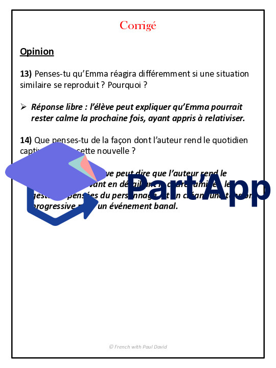 Compréhension de lecture - Nouvelle réaliste_8