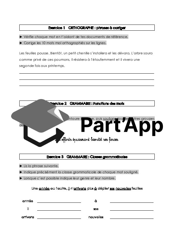 Fiches d'exercices - orthographe & grammaire - 7p/8p_4