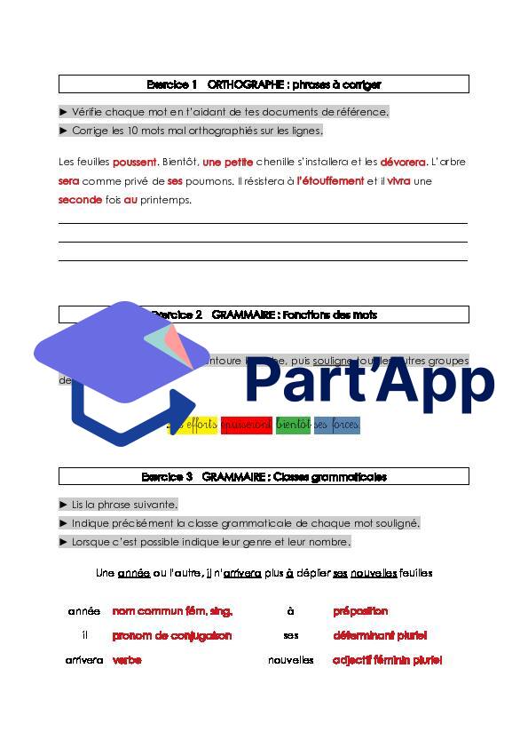 Fiches d'exercices - orthographe & grammaire - 7p/8p_6