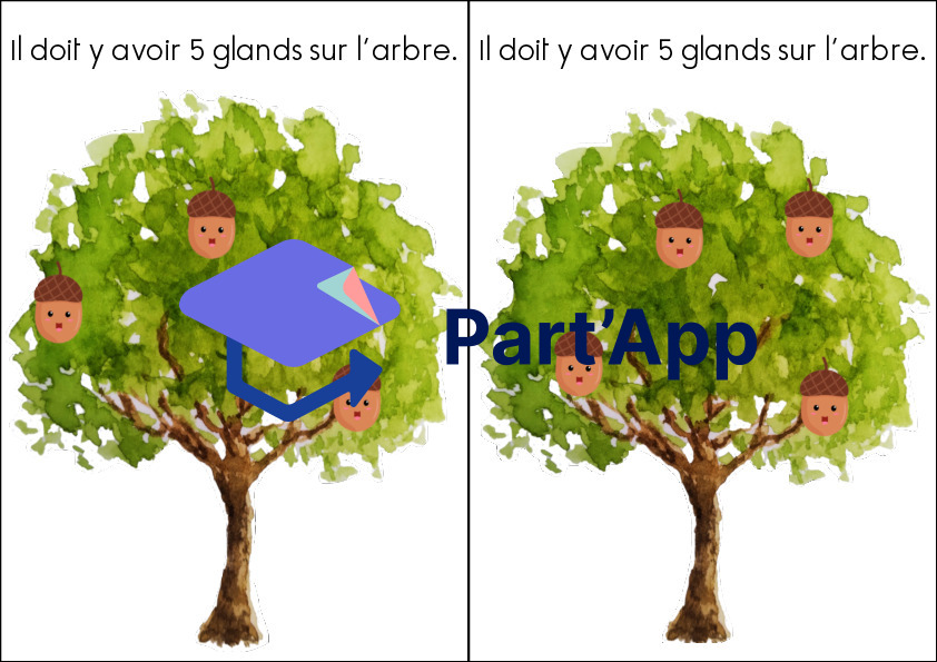 Complément à 5 automne_3