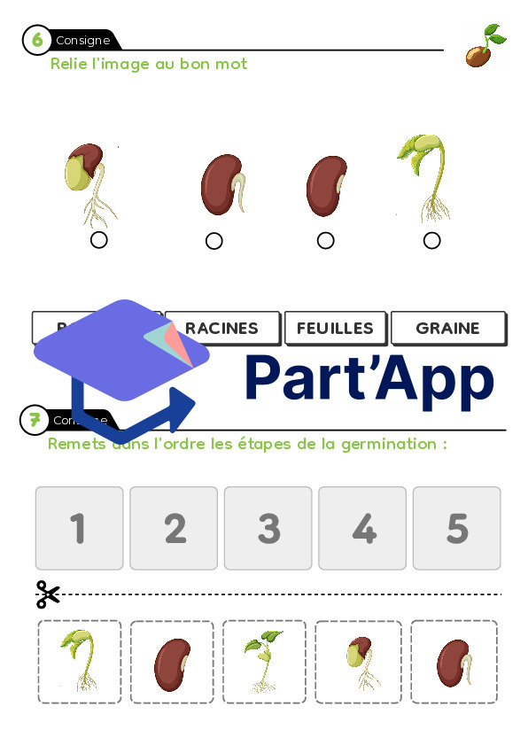 Dossier de jardinier_11