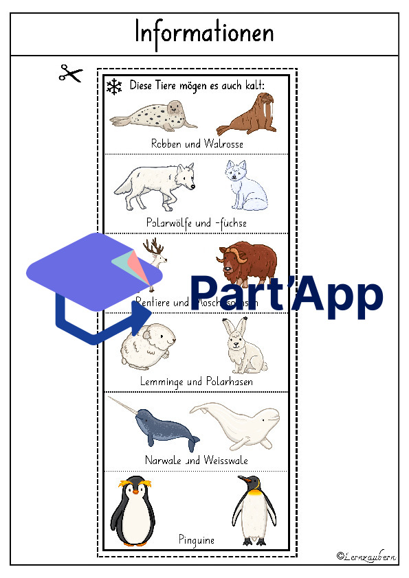 Lapbook für den Kindergarten: Der Eisbär_9