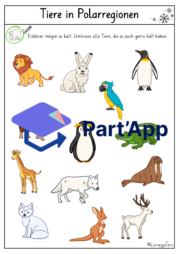 Lapbook für den Kindergarten: Der Eisbär_11
