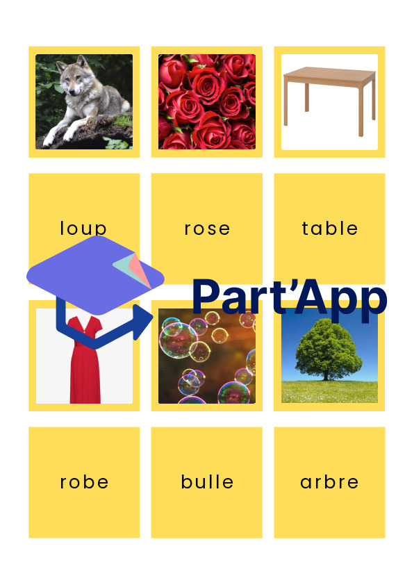 36 Cartes Image-Mot : Lecture & Vocabulaire (3-4H)_2