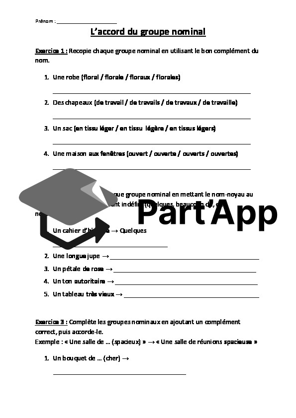 L'accord du groupe nominal – Module 2 (7H) | Exercices de grammaire_2