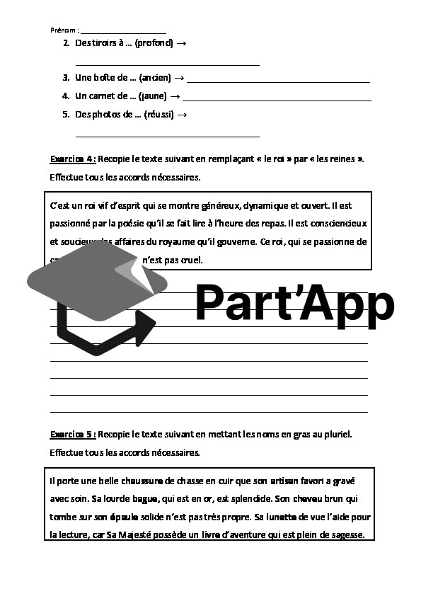 L'accord du groupe nominal – Module 2 (7H) | Exercices de grammaire_3