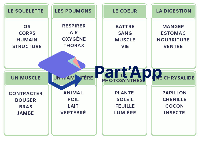 Jeu Taboo Sciences 7H-8H : Activité ludique et cartes à imprimer pour l'école_3