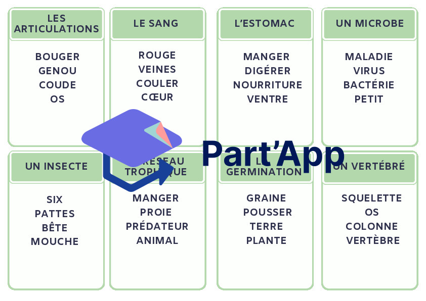 Jeu Taboo Sciences 7H-8H : Activité ludique et cartes à imprimer pour l'école_5