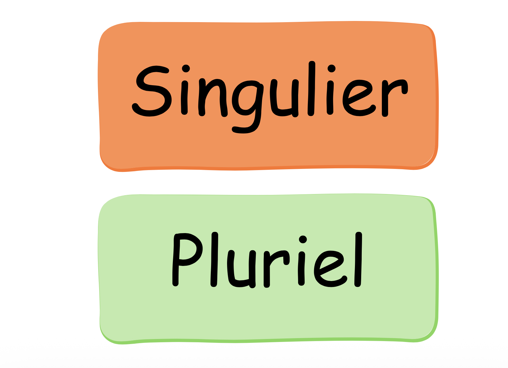 Le genre et le nombre_2