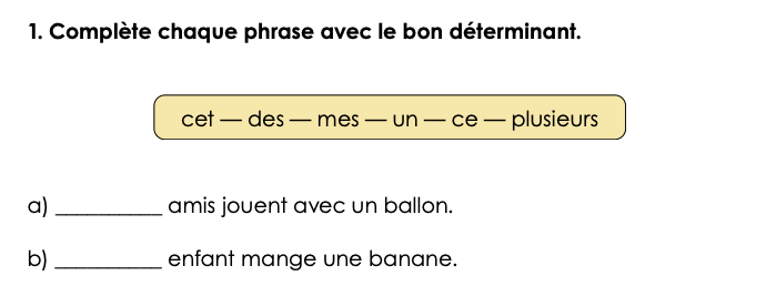module 1 (6P) - l'accord dans la phrase_2