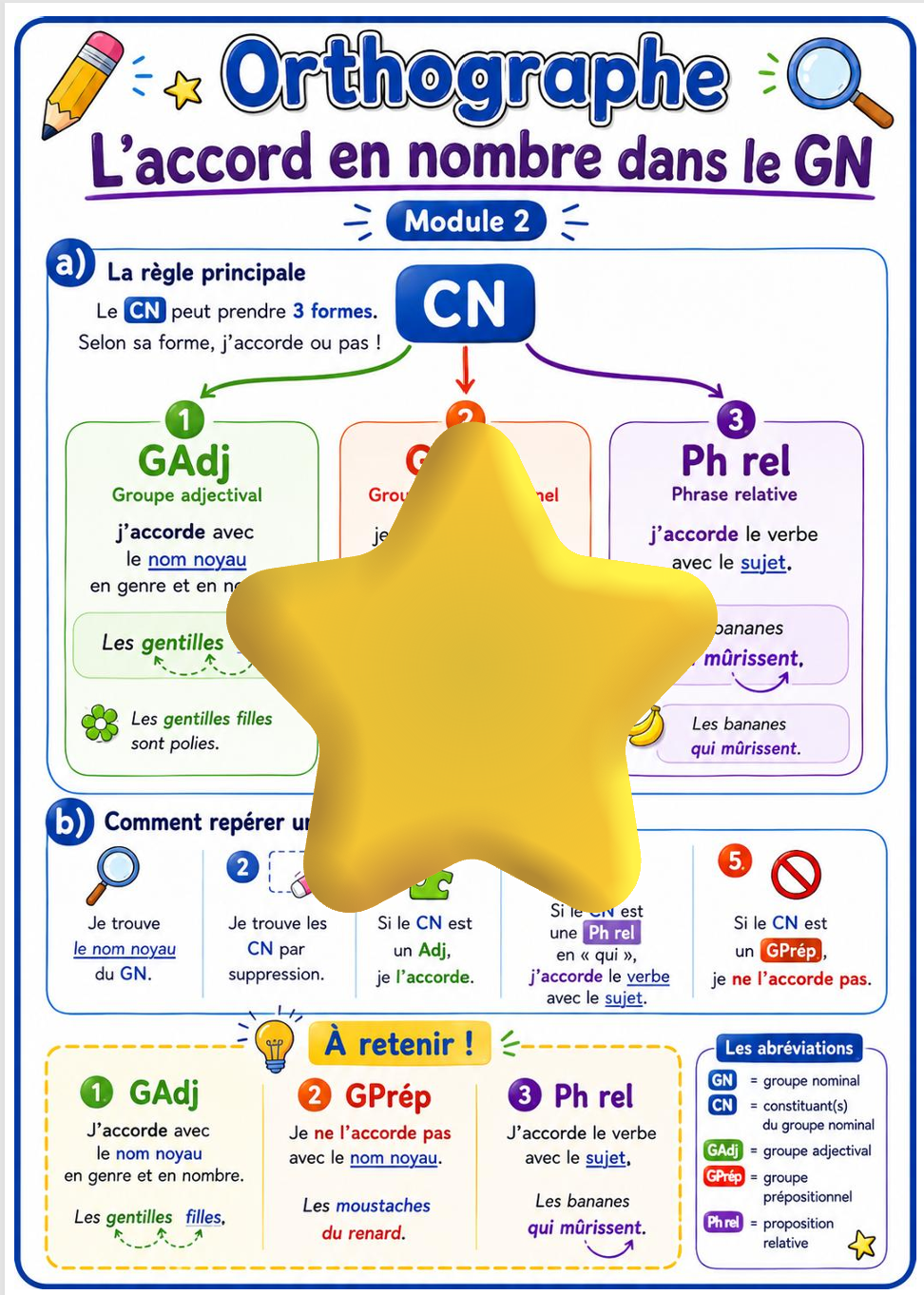 Orthographe 7H – Module 2 : l’accord dans le GN_3