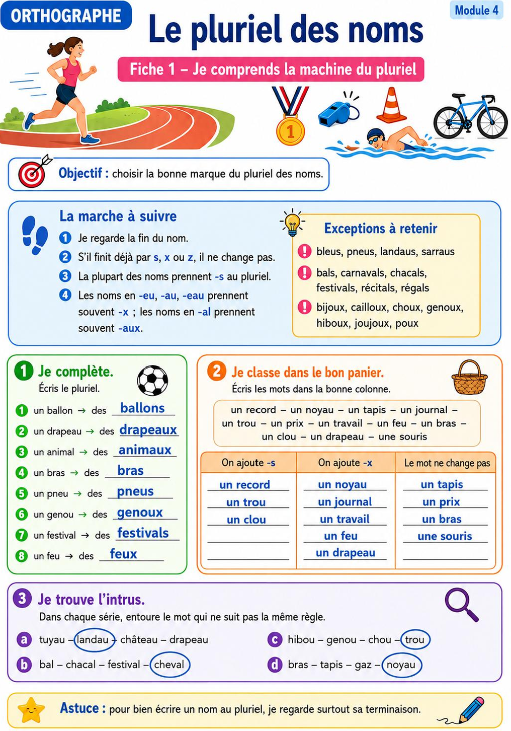 Orthographe 7H – Module 4 : le pluriel des noms_2