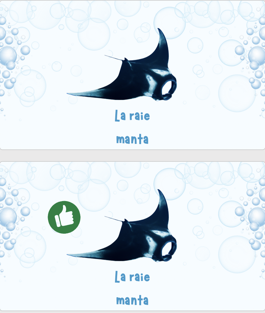 Quiz - Qui est un poisson_2