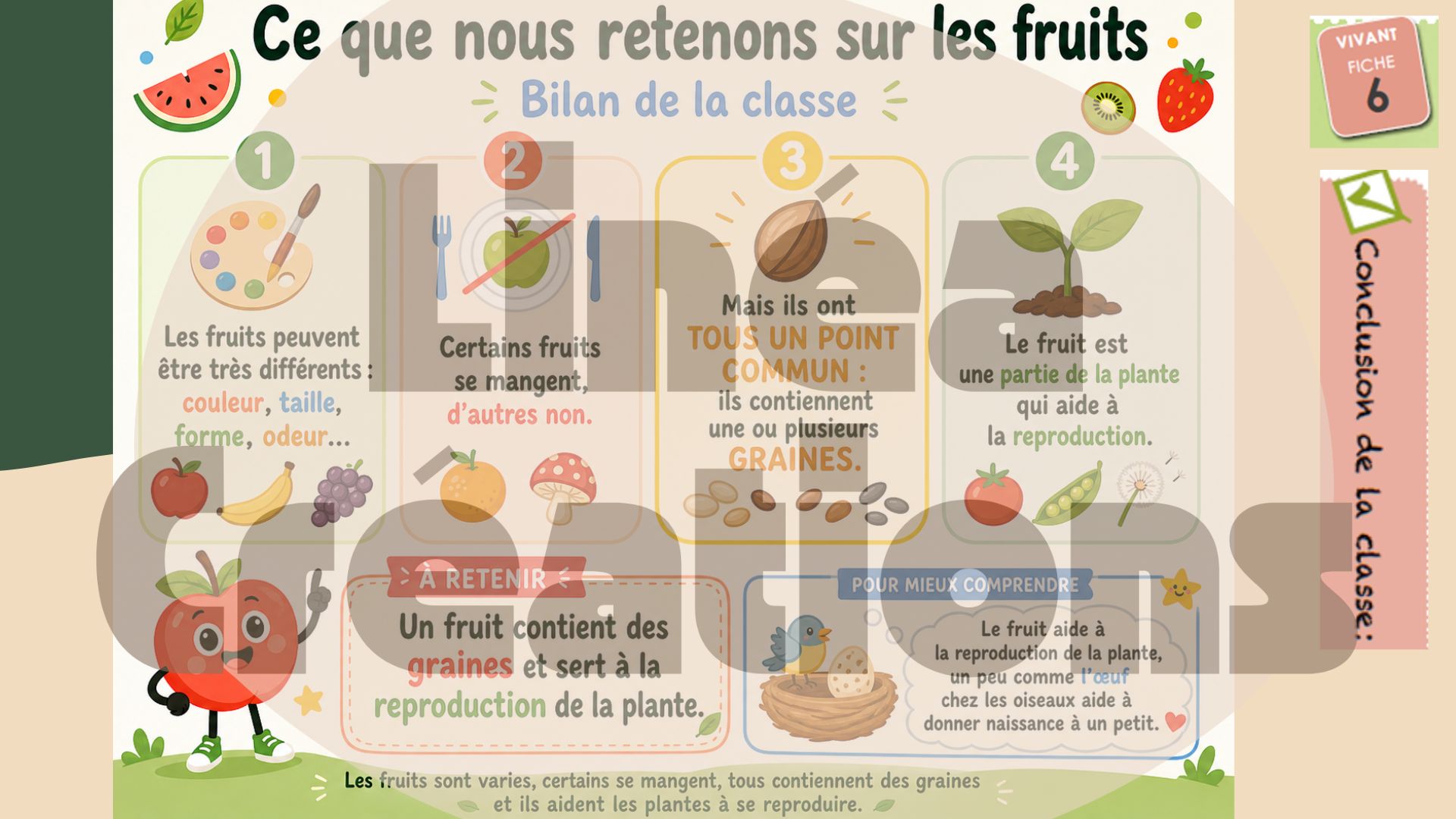 Séquence sciences – Le fruit : enquêteurs du vivant (7H)_4