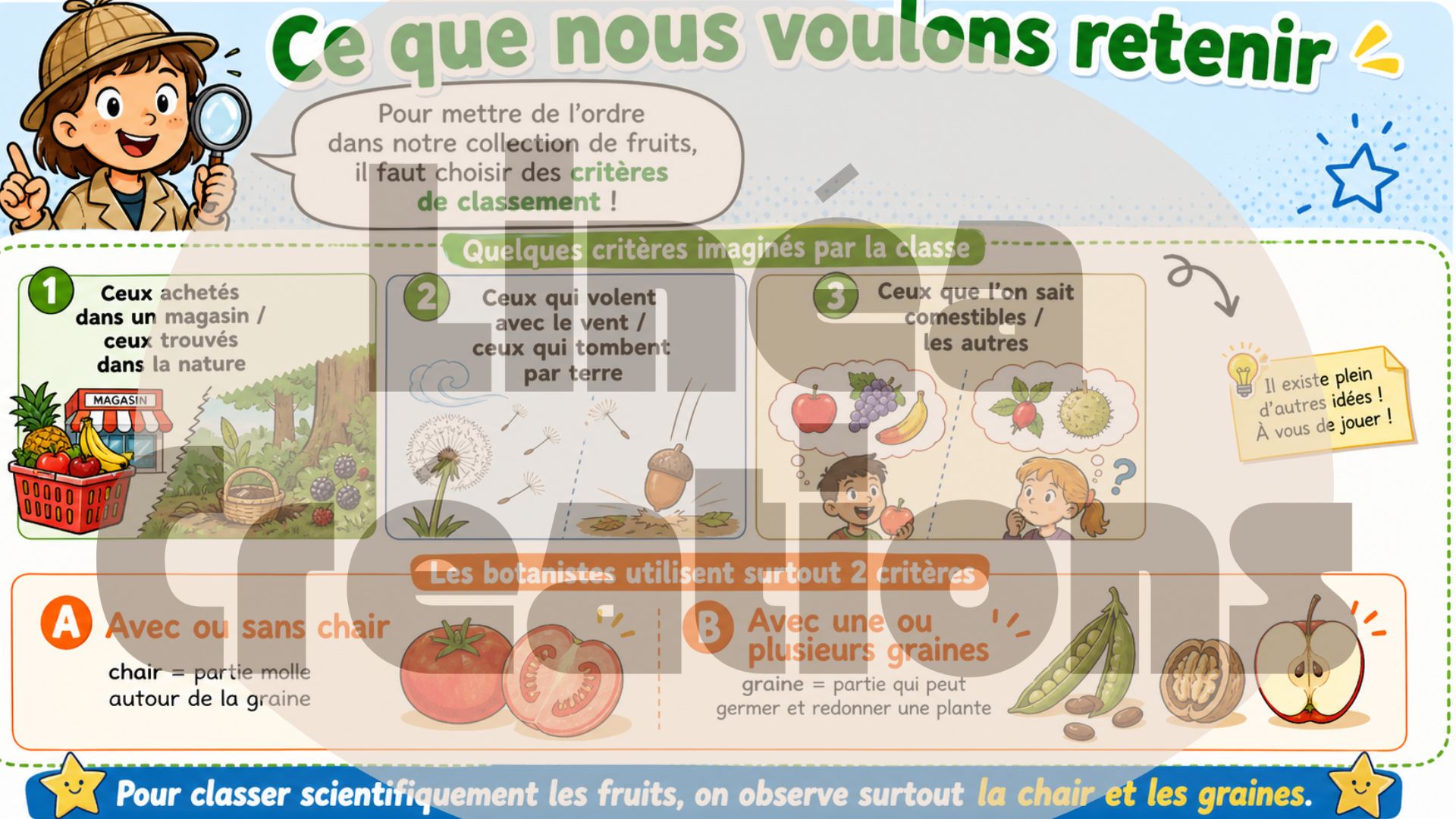 Séquence sciences – Le fruit : enquêteurs du vivant (7H)_5