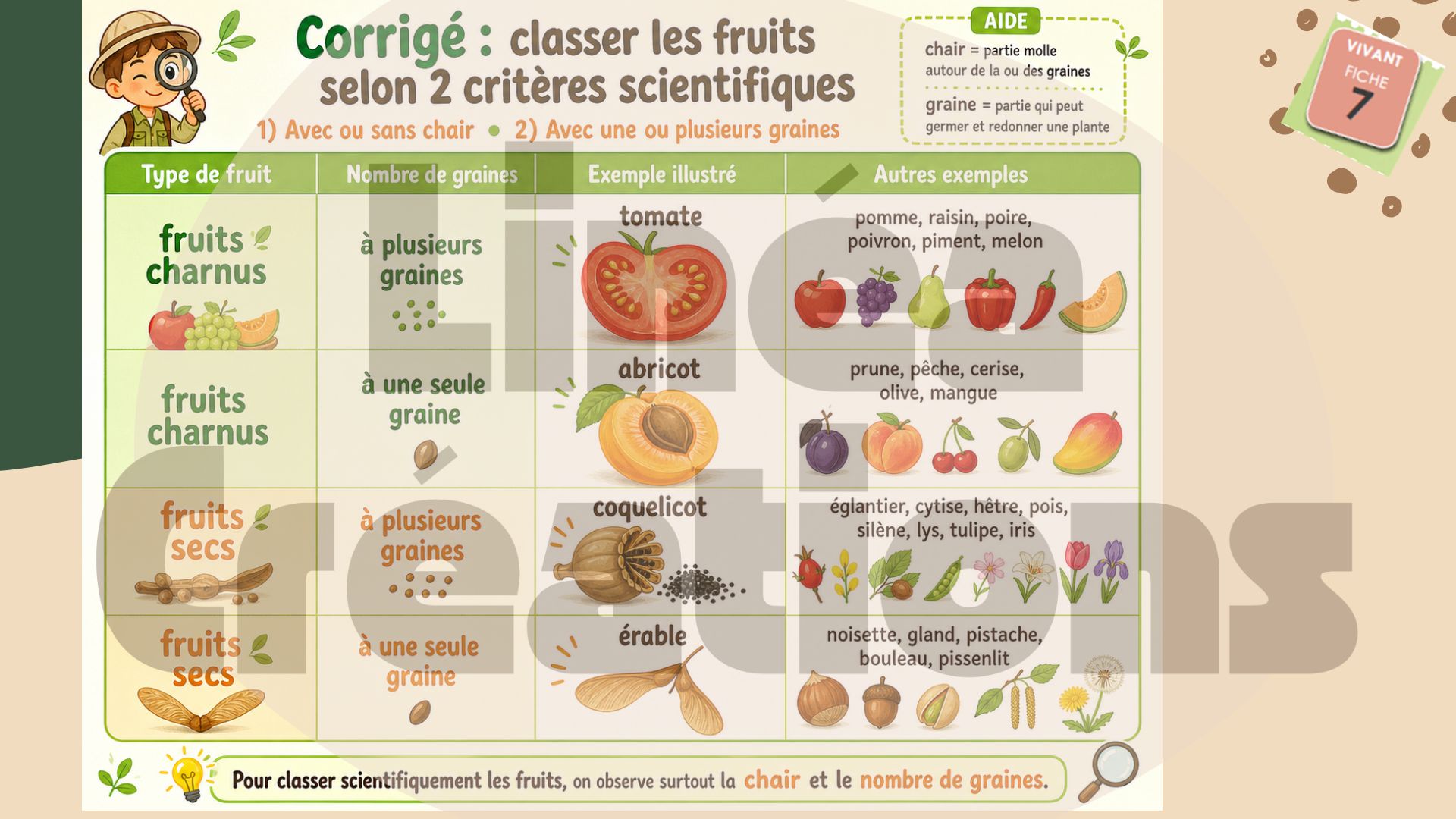 Séquence sciences – Le fruit : enquêteurs du vivant (7H)_6