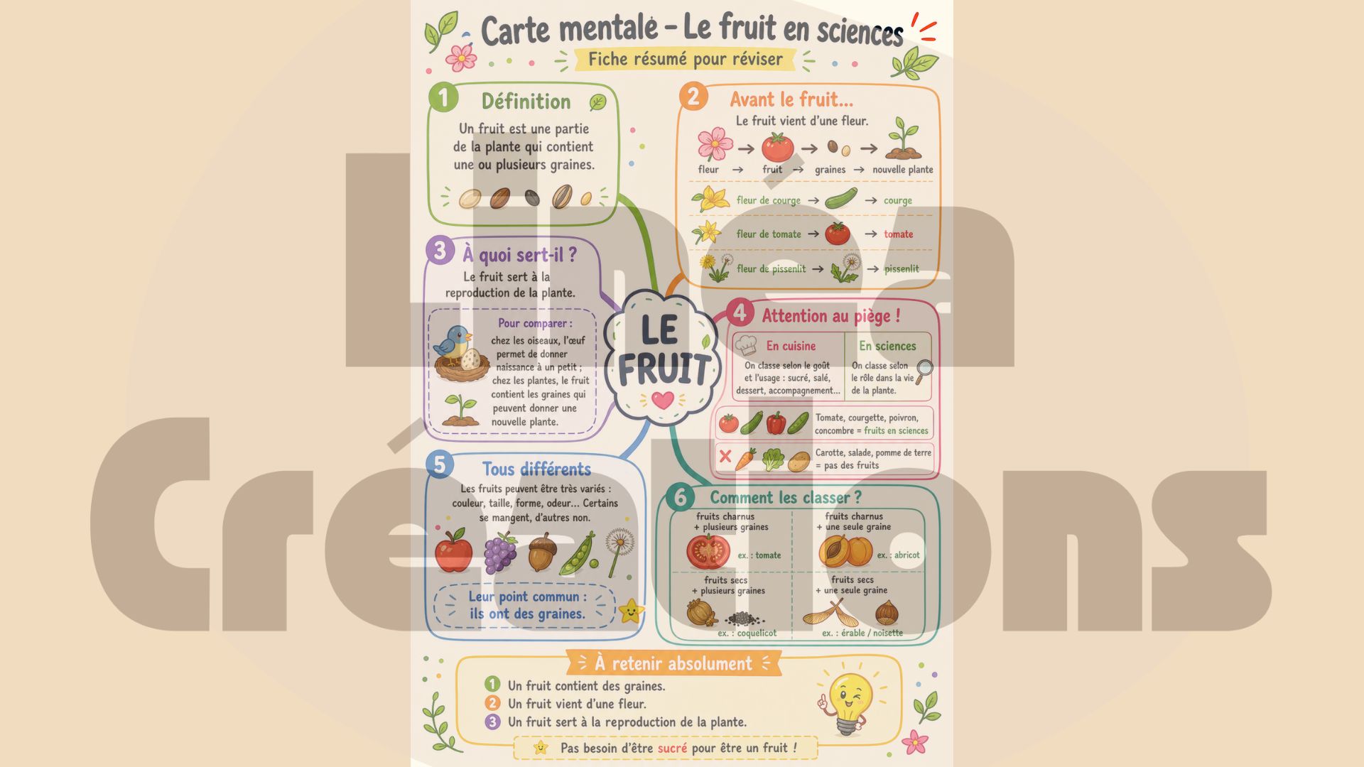 Séquence sciences – Le fruit : enquêteurs du vivant (7H)_7