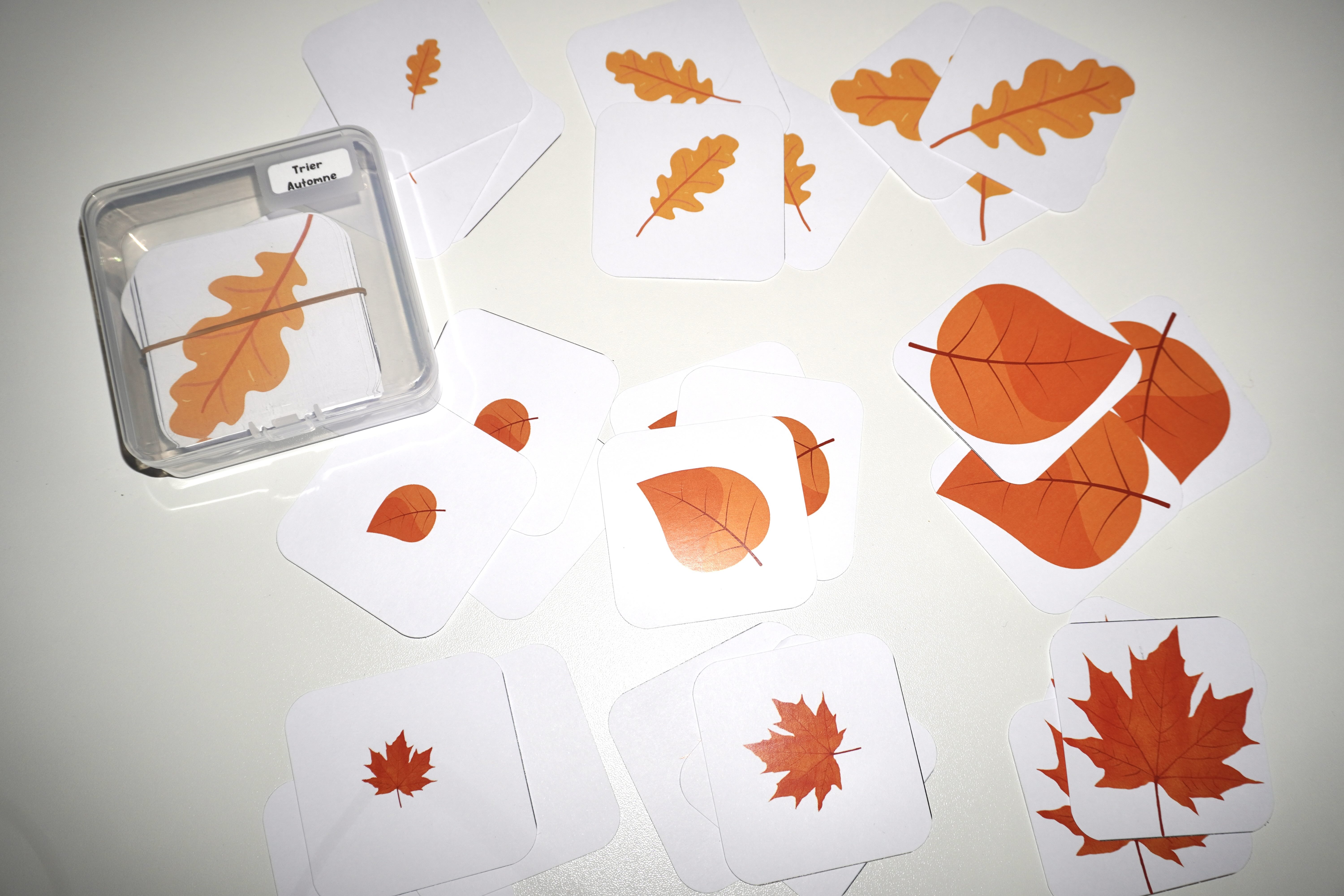 Trier les formes (ateliers automne)_2